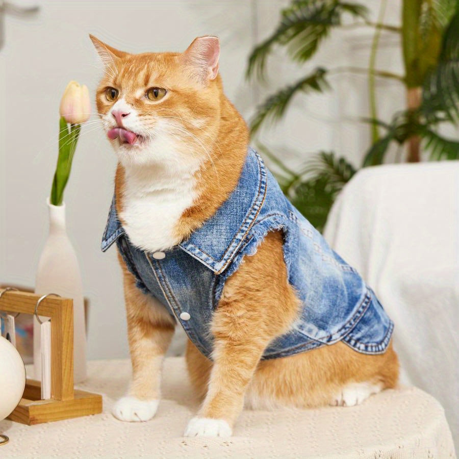 Faux Denim Cat Polyester Pullover Vest Jacket with D-Ring for Leash