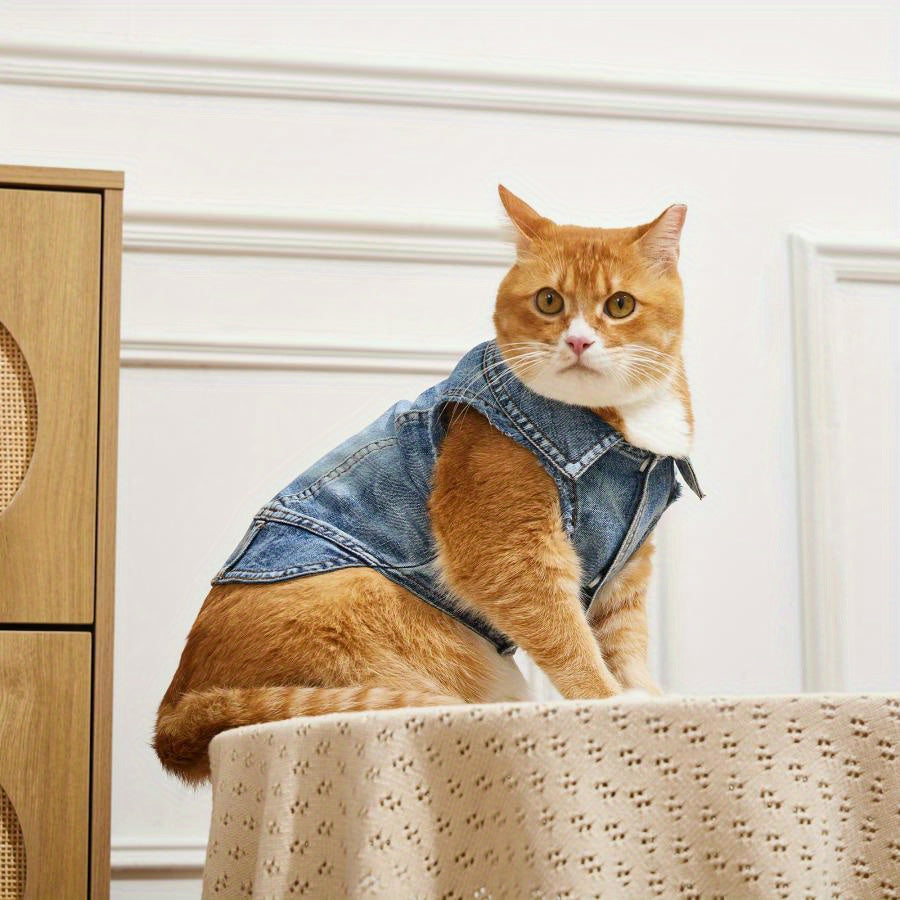 Faux Denim Cat Polyester Pullover Vest Jacket with D-Ring for Leash