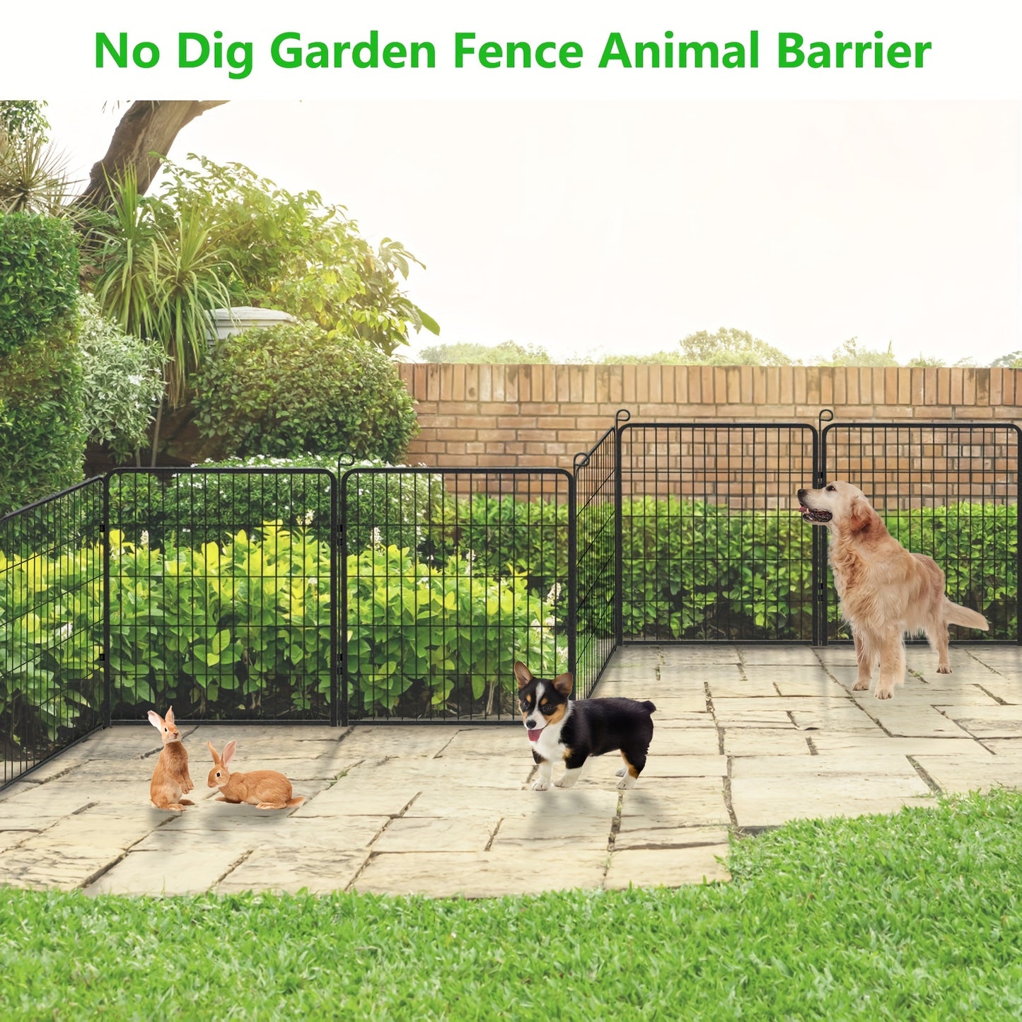 Sturdy Metal Dog Fence - Rust-Proof, Weatherproof for Large & Medium Dogs