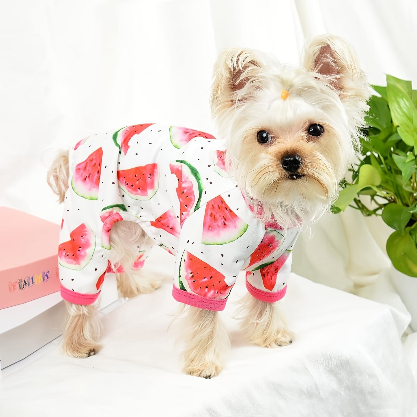 2pc Adorable Avocado & Watermelon Dog Pajamas