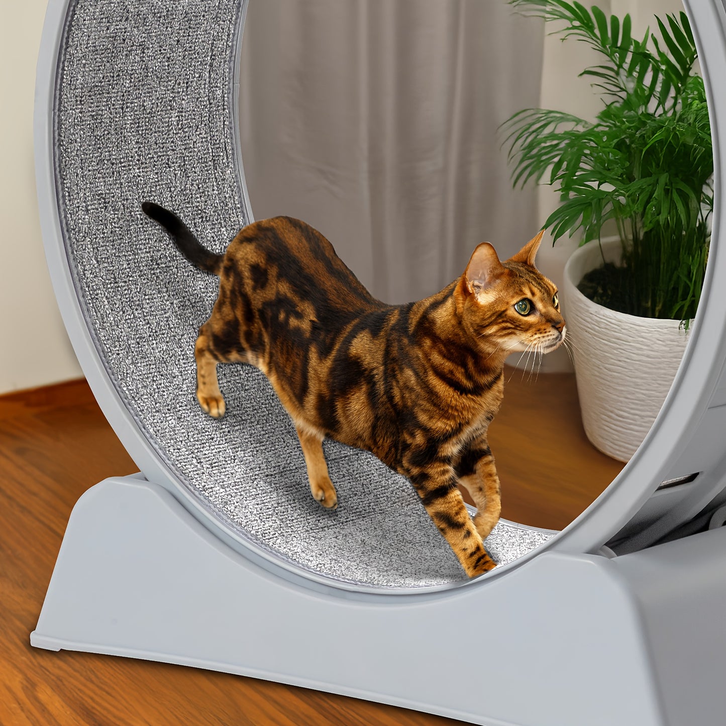 Cat Exercise Wheel Treadmill for Indoor Fitness and Fun