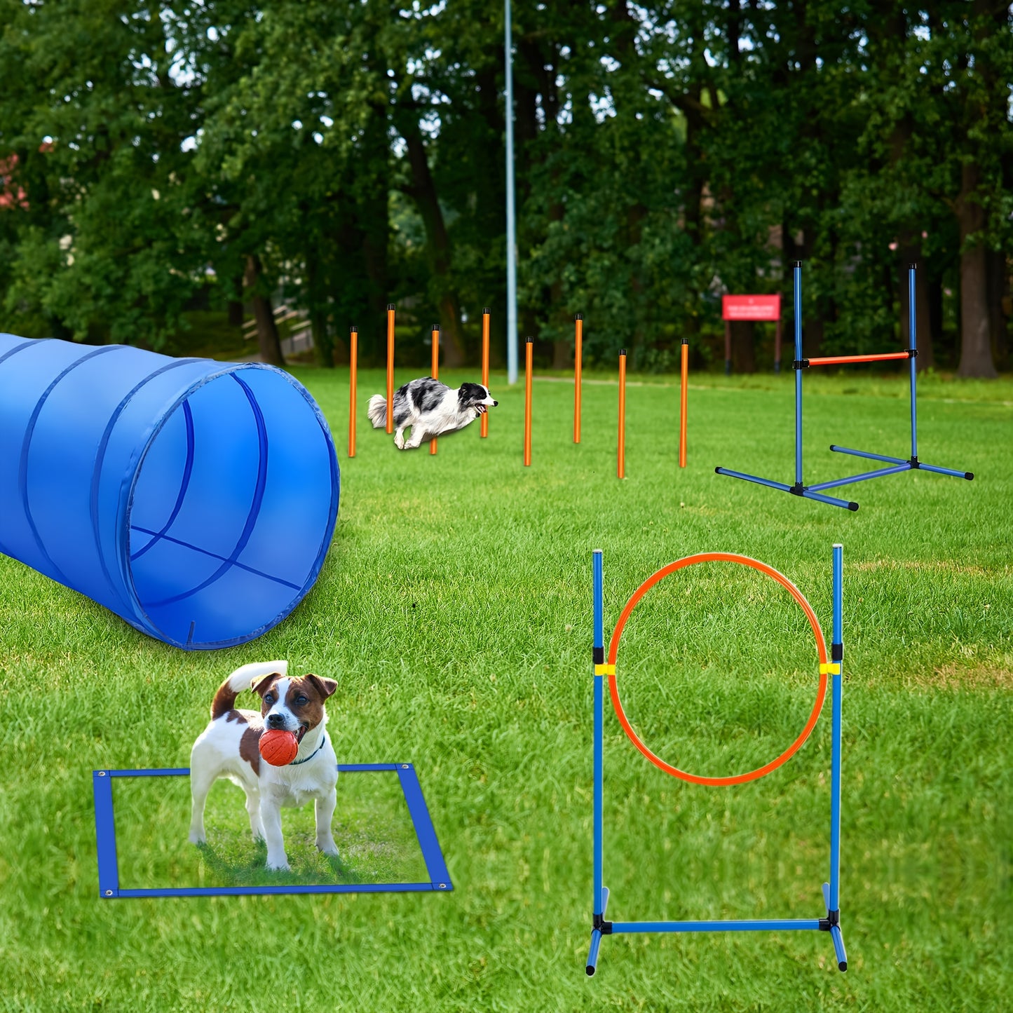 Dog Training Equipment Set