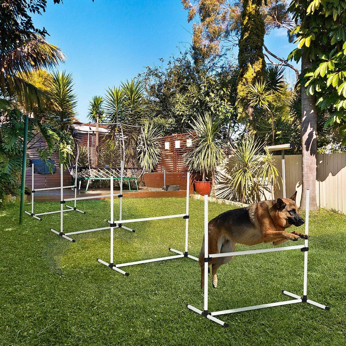 4 Piece Dog Agility Training Equipment with Adjustable Height