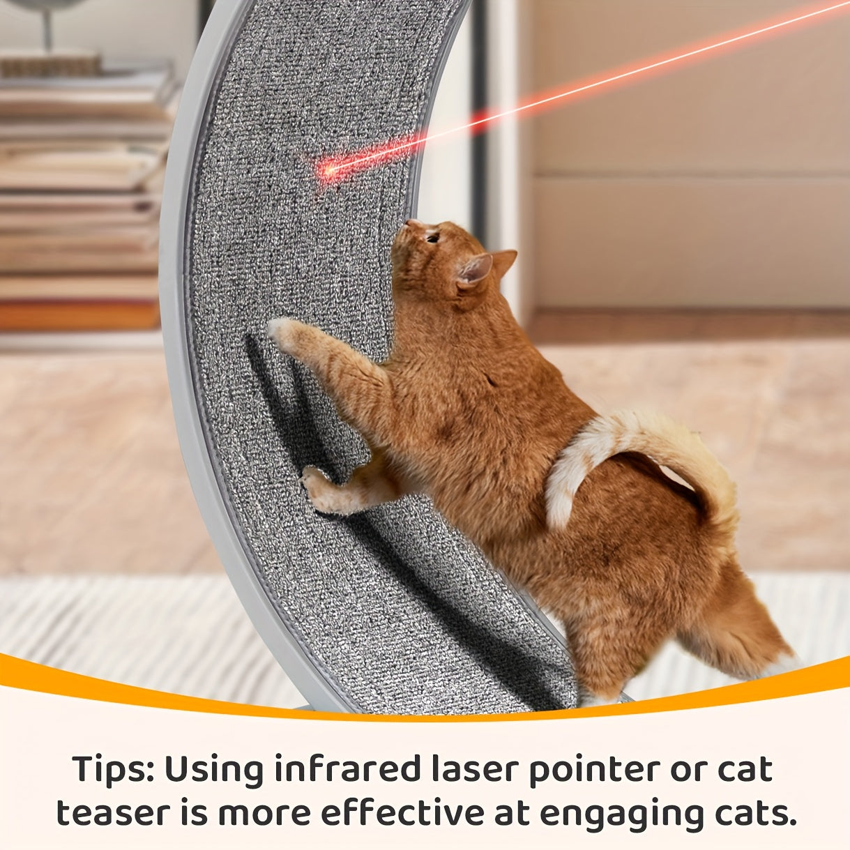Cat Exercise Wheel Treadmill for Indoor Fitness and Fun
