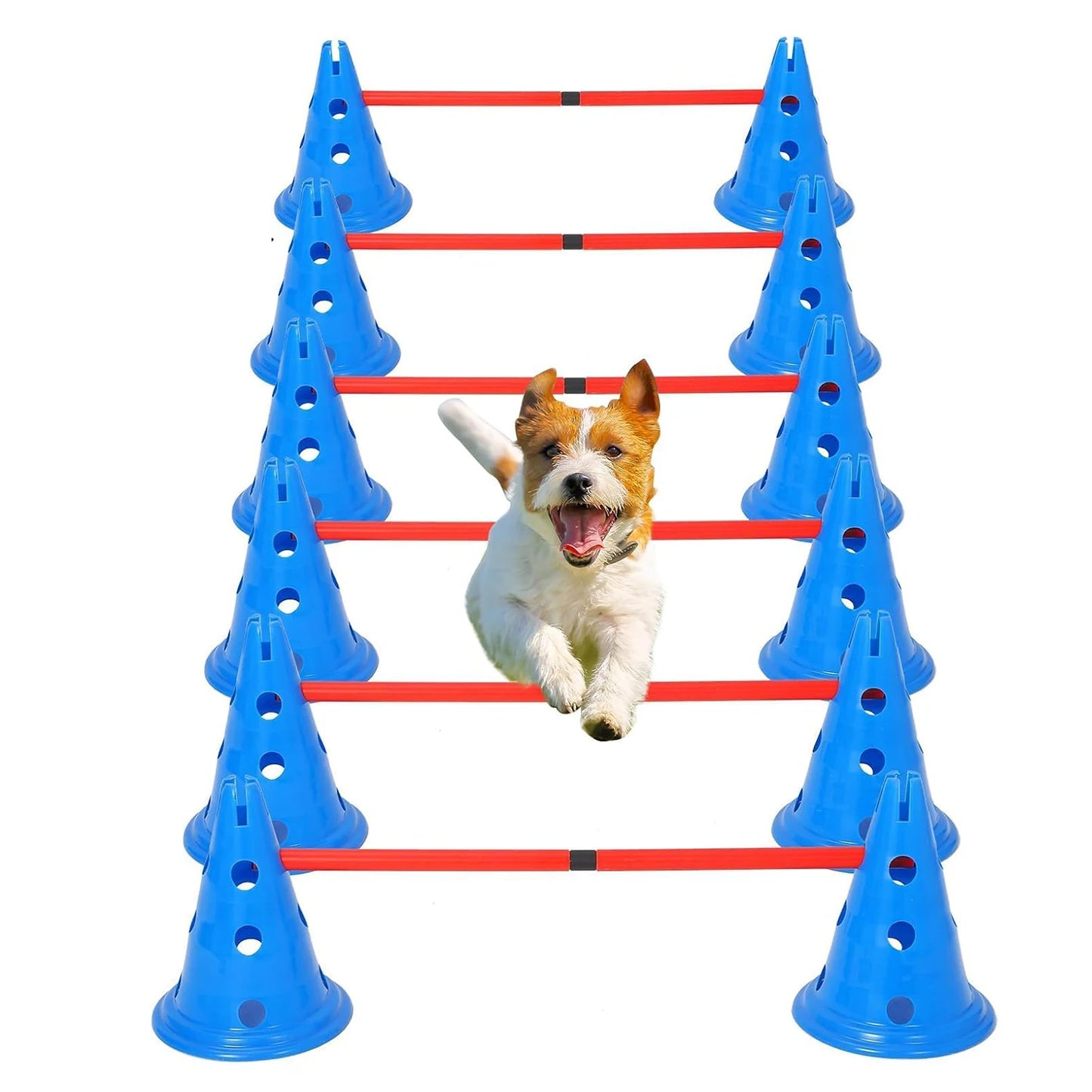 Dog Agility Cone Set 12 Cones And 6 Poles For Training