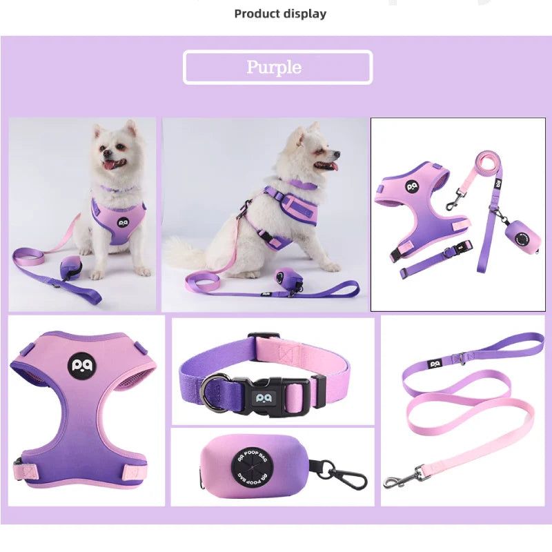 Dog/Cat Harness and Leash Set