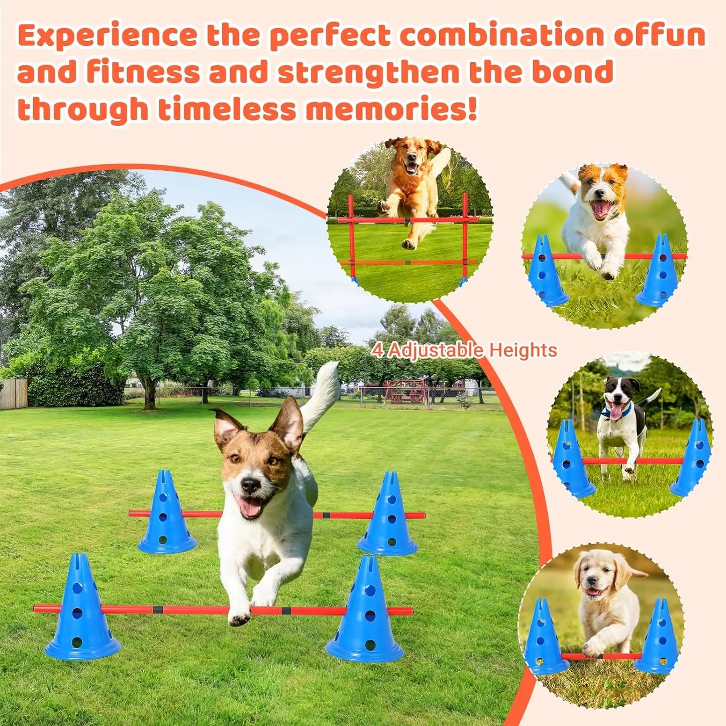 Dog Agility Cone Set 12 Cones And 6 Poles For Training