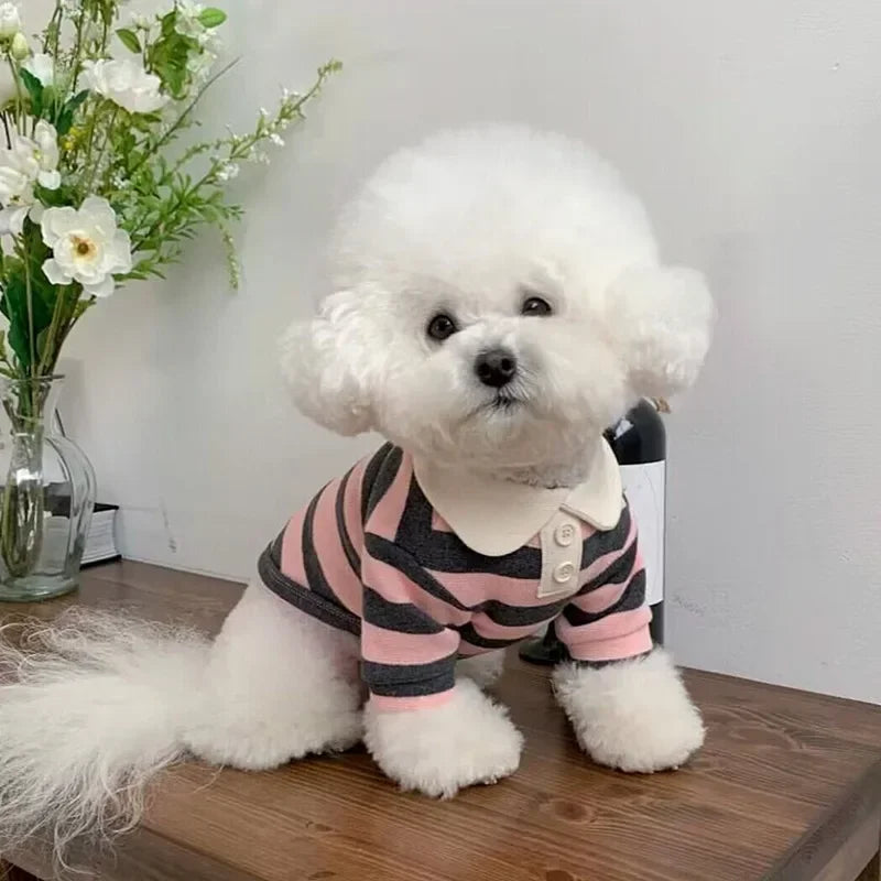 Striped Dog Soft Pullover T-Shirt for All Seasons