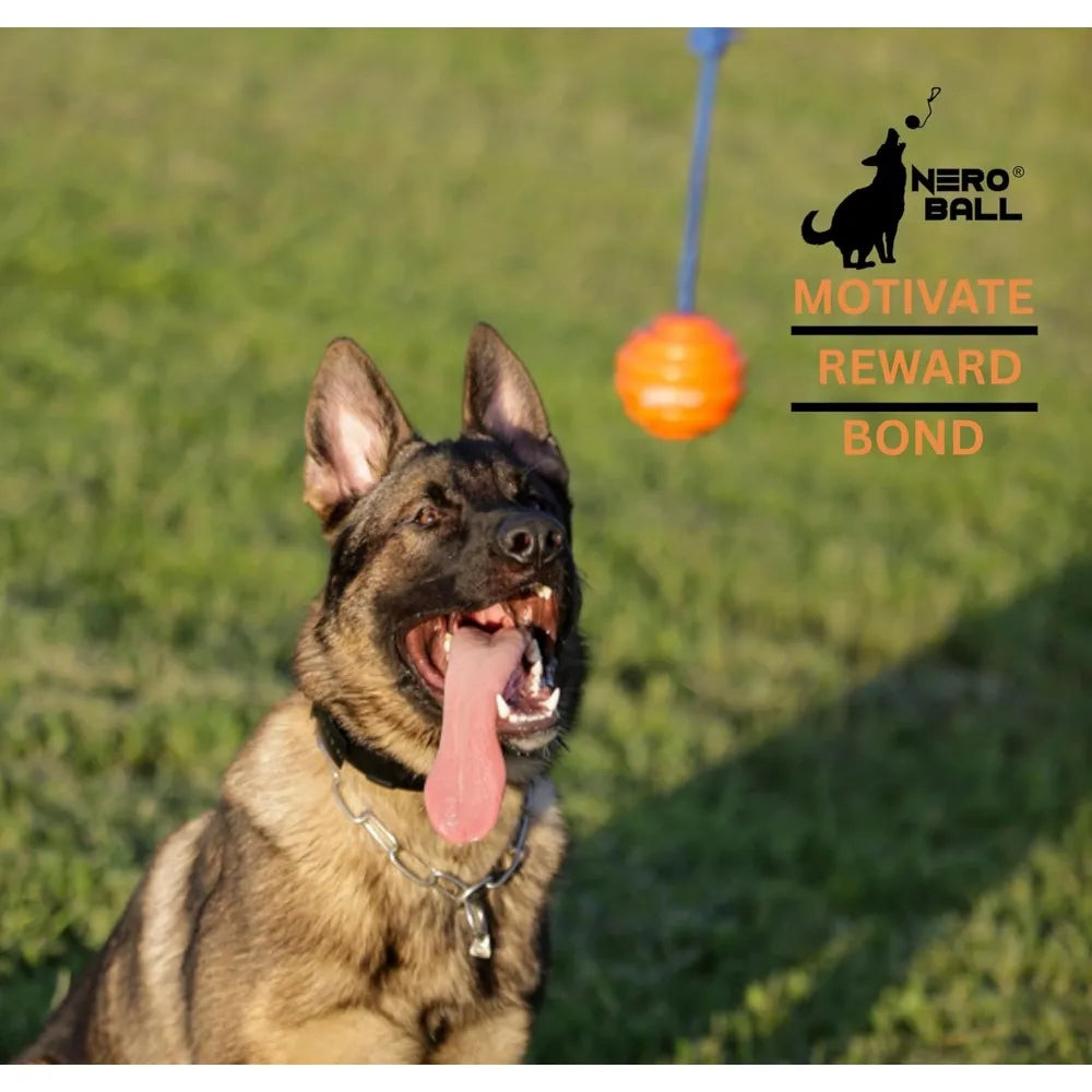 Pro K9 Dog Training Ball on Rope Natural Rubber Durable
