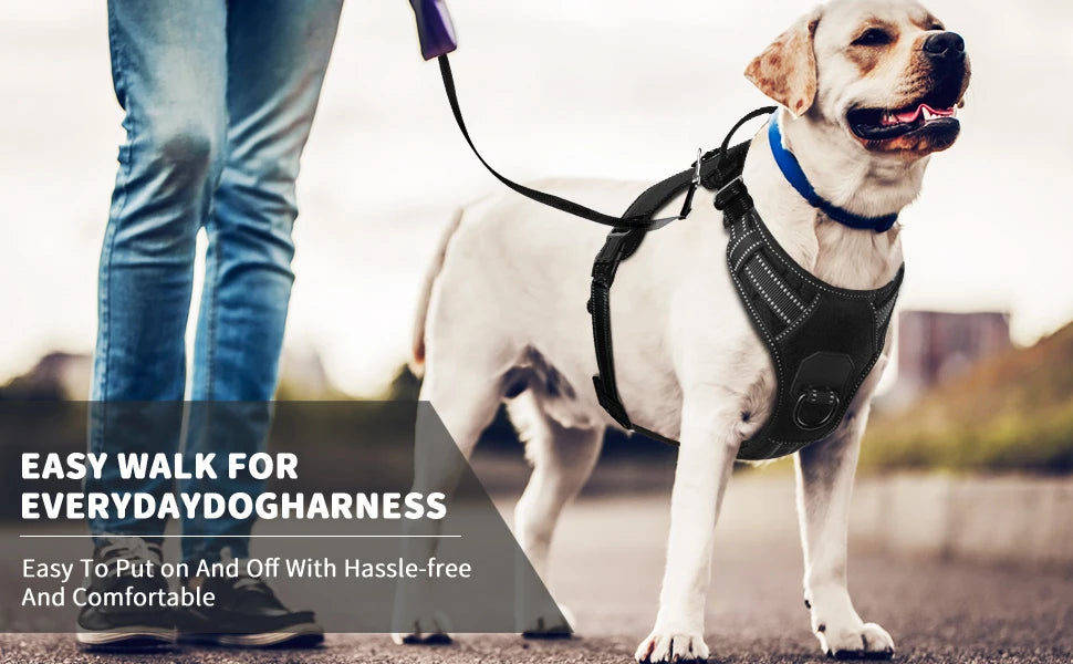 Easy Control Adjustable Reflective Nylon Dog Vest Harness with 2 Metal Leash Hooks