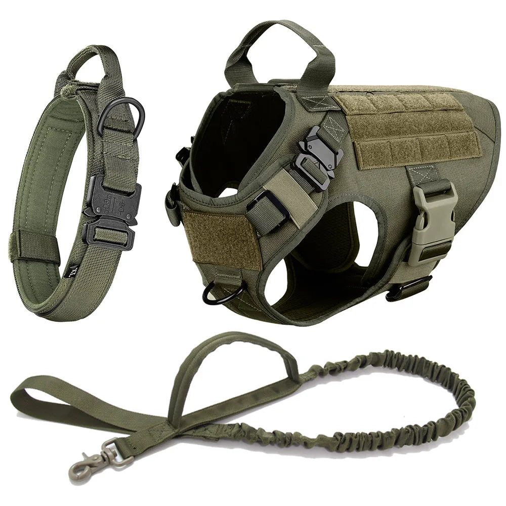 Dog Harness And Leash Set For Medium to Large Dogs