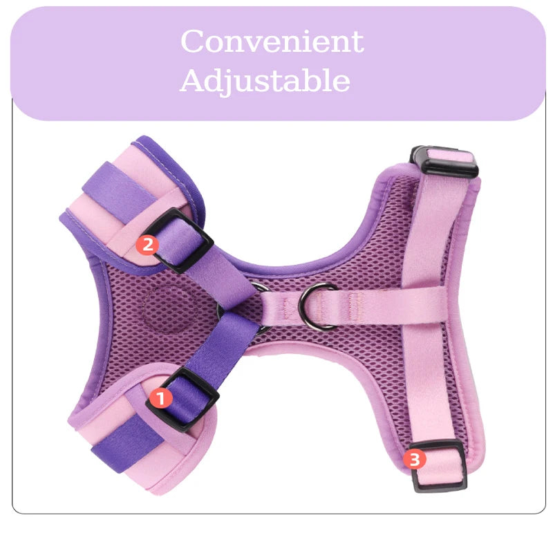 Dog/Cat Harness and Leash Set