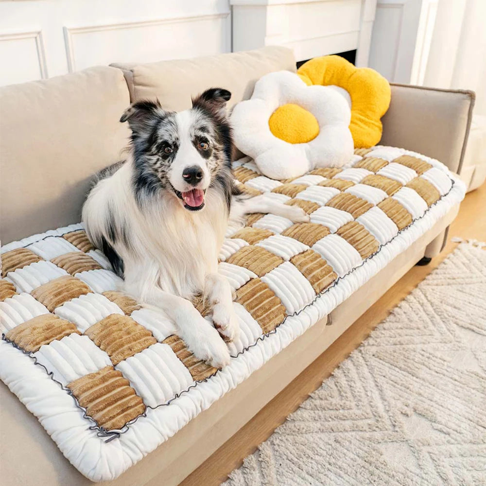 Dog or Cat Anti-slip Washable Scratchable Blanket Bed Mat