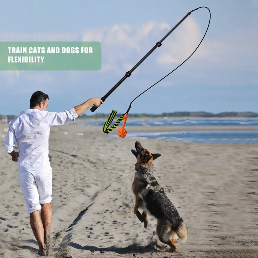 Interactive Dog Toys for Small & Large Dogs for Outdoor Training & Entertainment