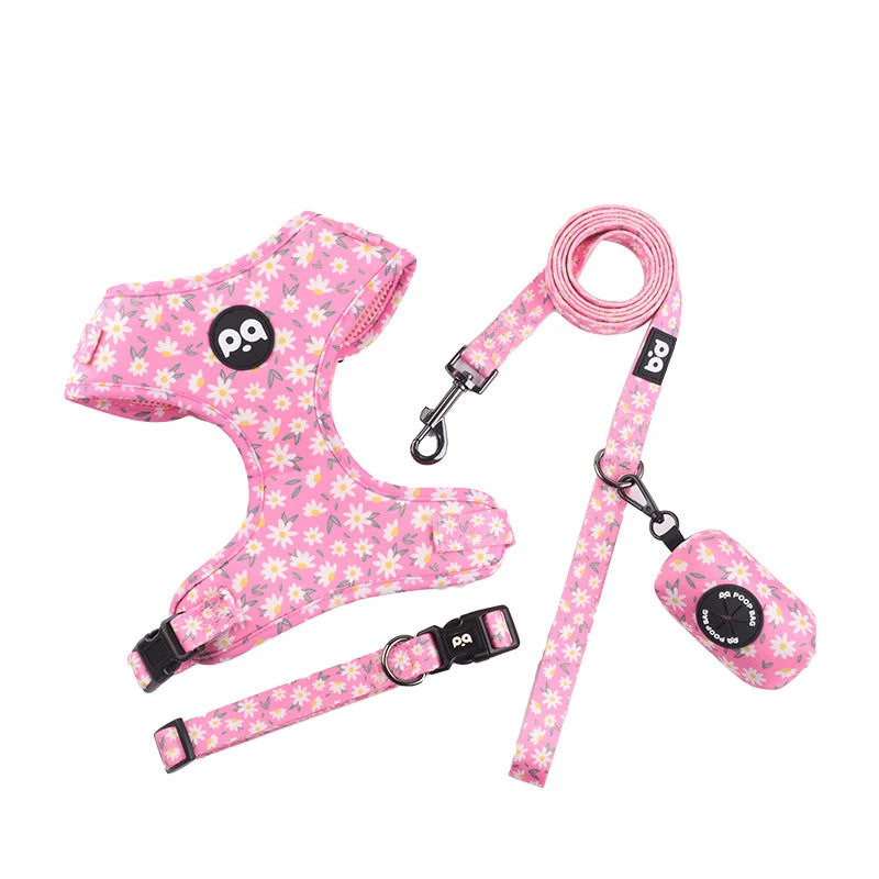 Dog/Cat Harness and Leash Set