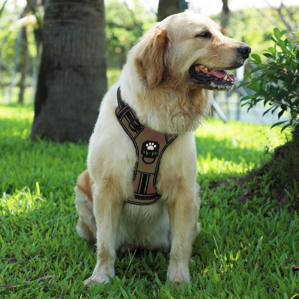 Easy Control Adjustable Reflective Nylon Dog Vest Harness with 2 Metal Leash Hooks