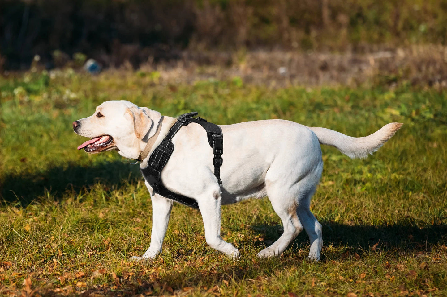 Easy Control Adjustable Reflective Nylon Dog Vest Harness with 2 Metal Leash Hooks