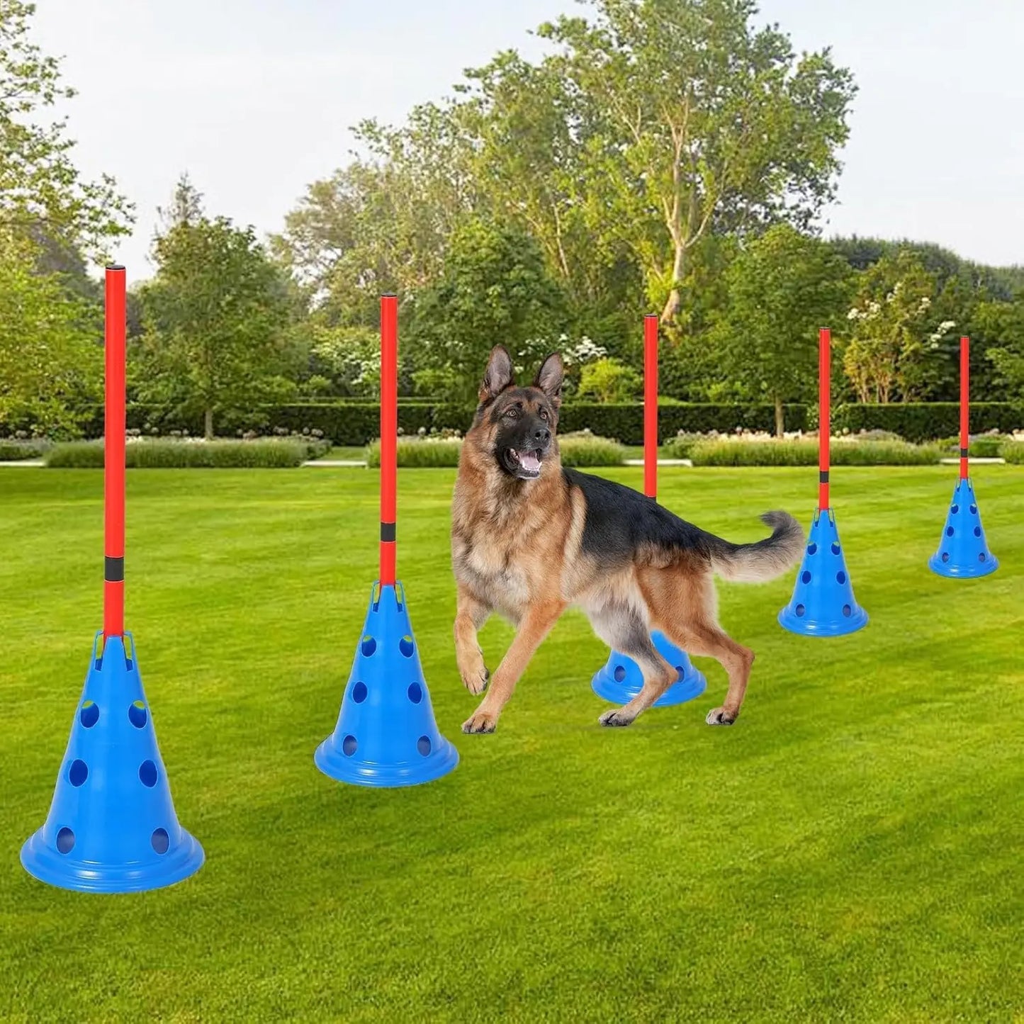 Dog Agility Cone Set 12 Cones And 6 Poles For Training