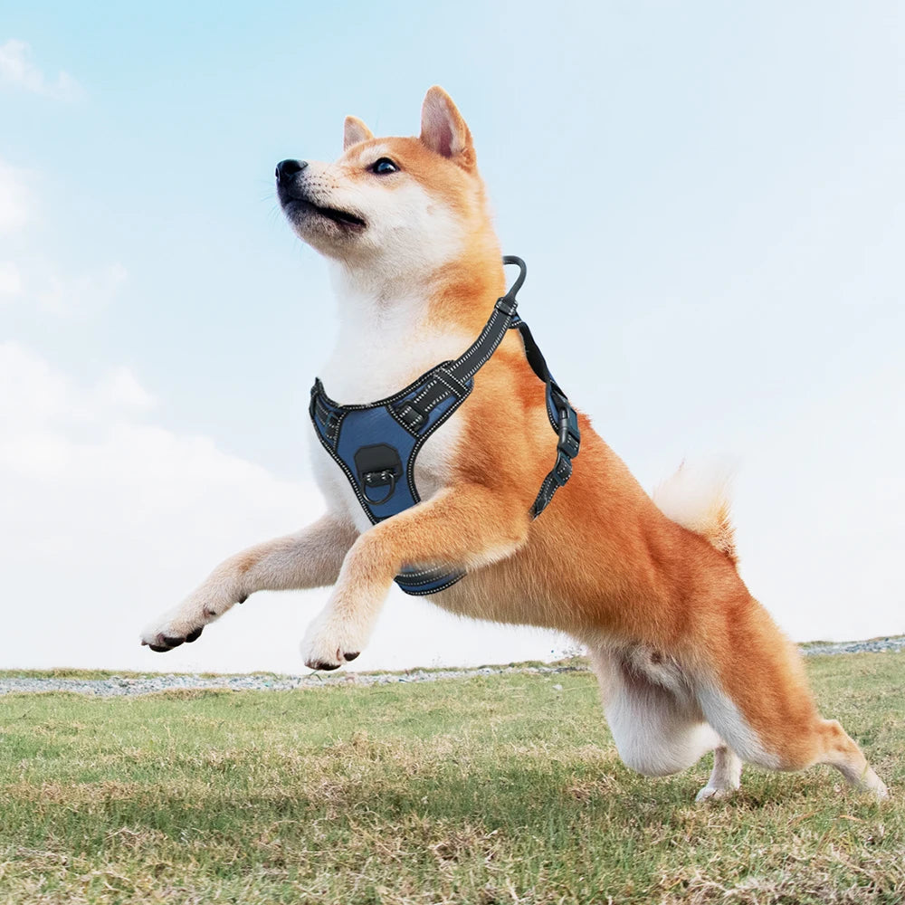 Easy Control Adjustable Reflective Nylon Dog Vest Harness with 2 Metal Leash Hooks
