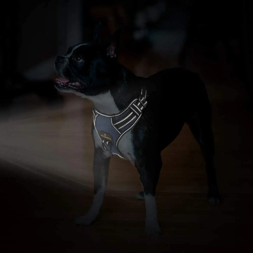 Easy Control Adjustable Reflective Nylon Dog Vest Harness with 2 Metal Leash Hooks