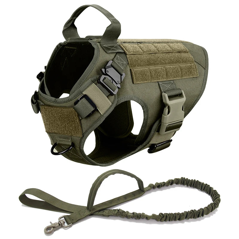 Dog Harness And Leash Set For Medium to Large Dogs