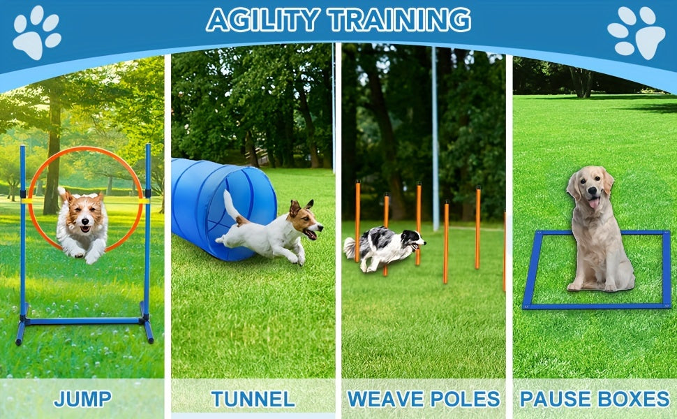Dog Training Equipment Set