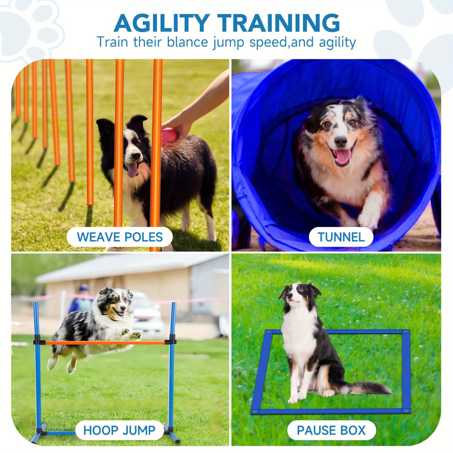 Dog Training Equipment Set