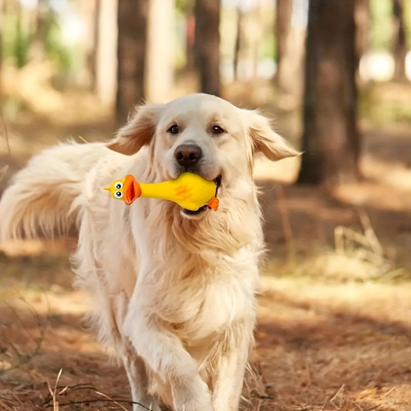 3pcs Bite Resistant Squeaky Dog Toys