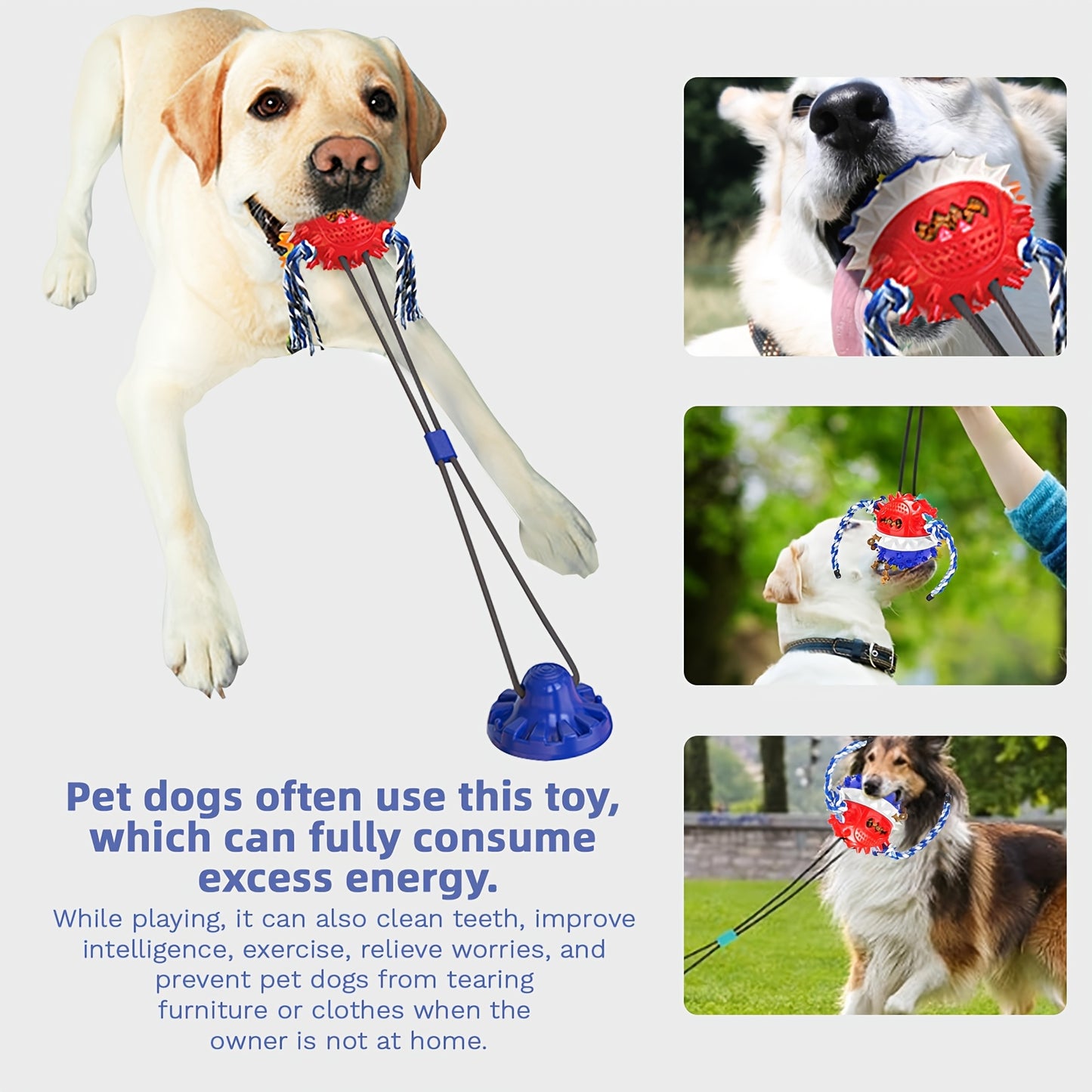 1pc Interactive Dog Toy With Suction Cup