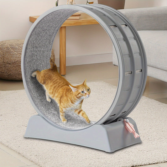 Cat Exercise Wheel Treadmill for Indoor Fitness and Fun