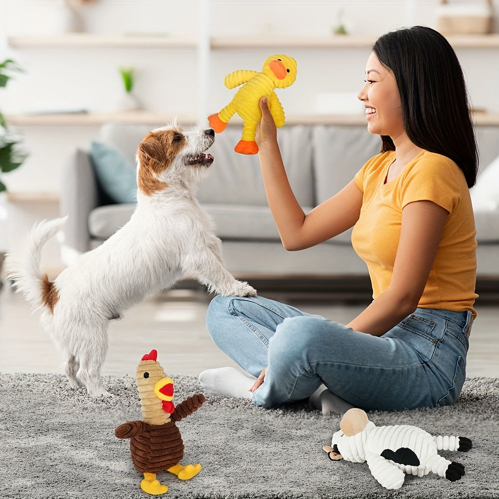 Plush Dog Squeaky Toys; Pack Of 5