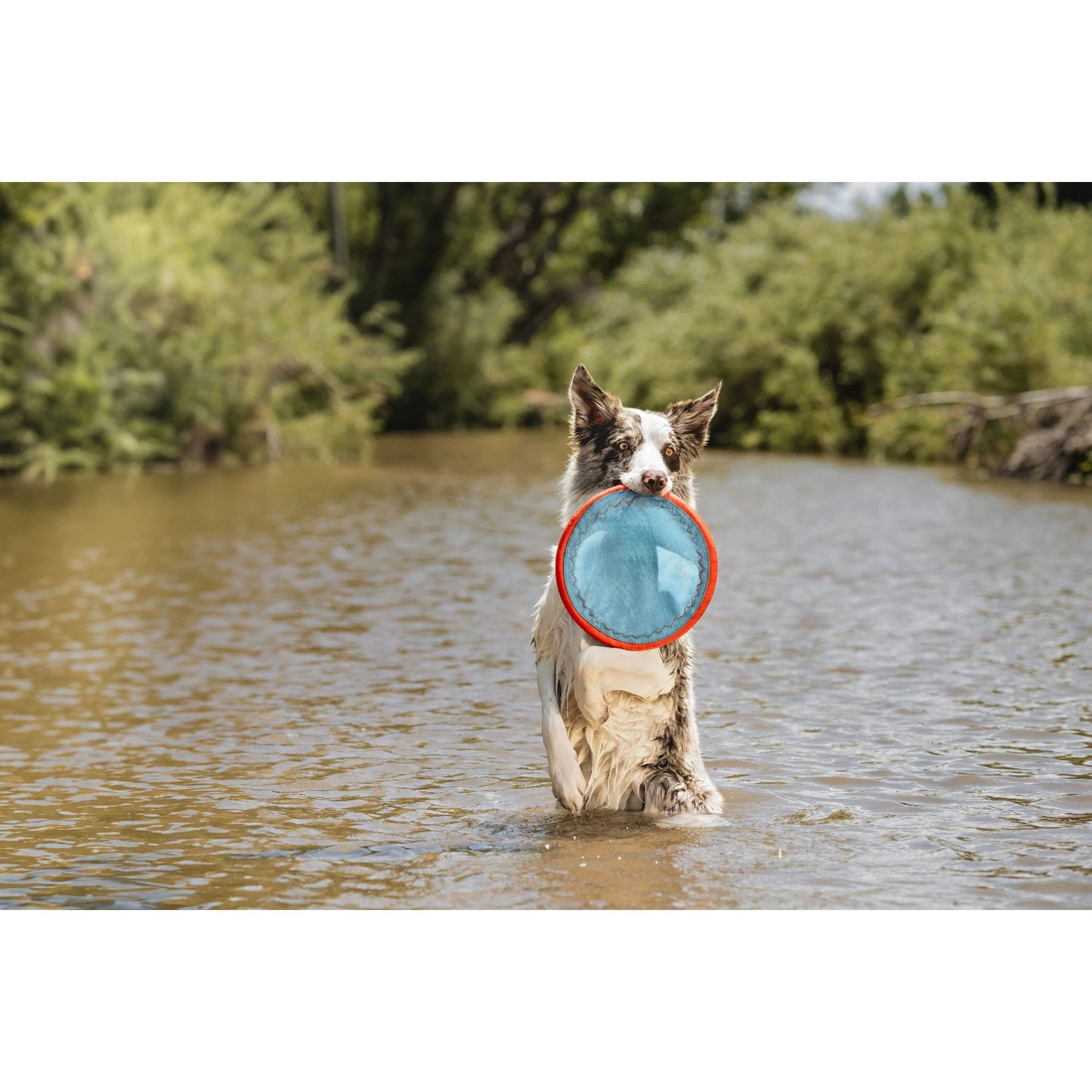 1pc Dog Flying Disc Toy 10.25" for Dogs 60-100 lbs water friendly