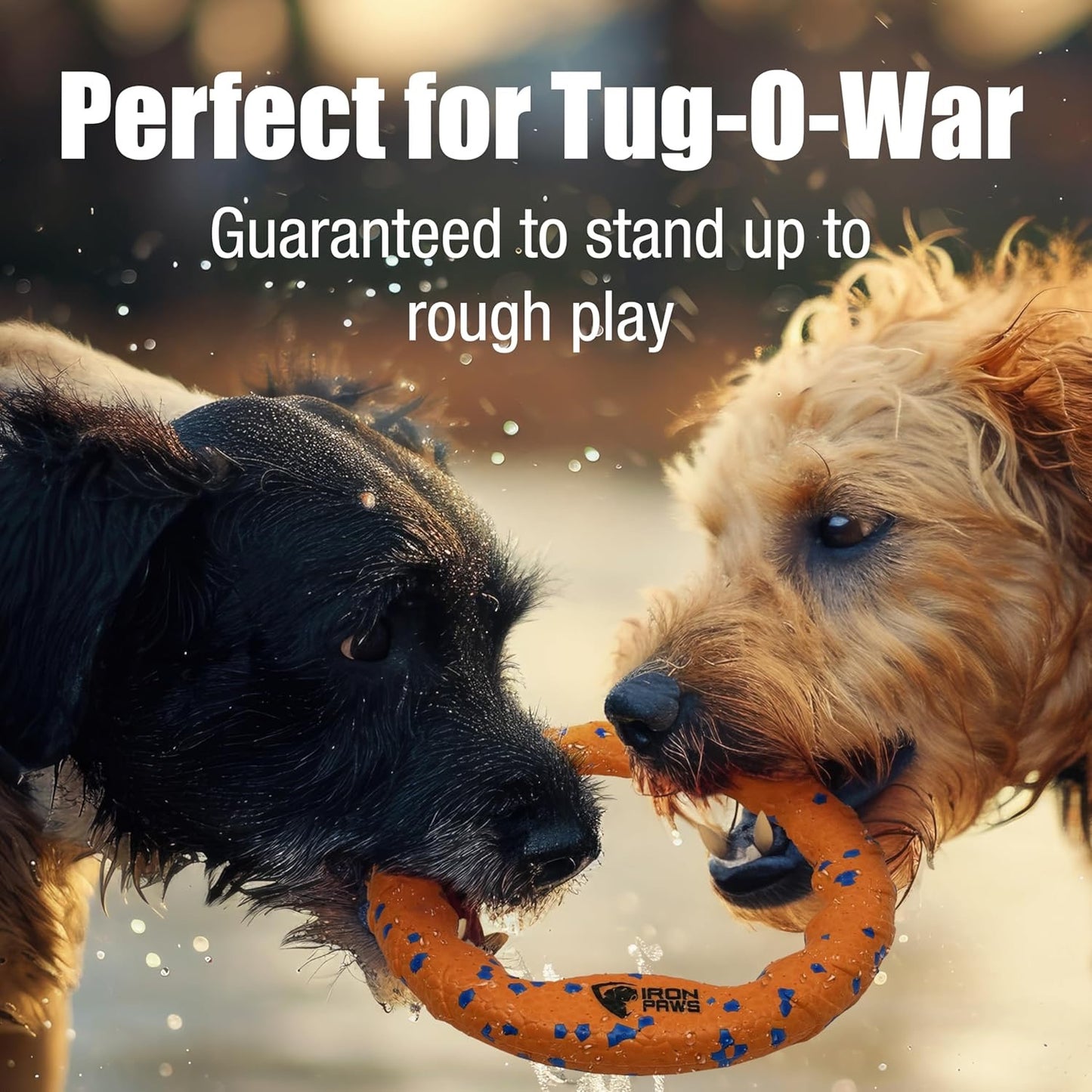 Indestructible Dog Ring for Fetch, Tug of War and Dog Training