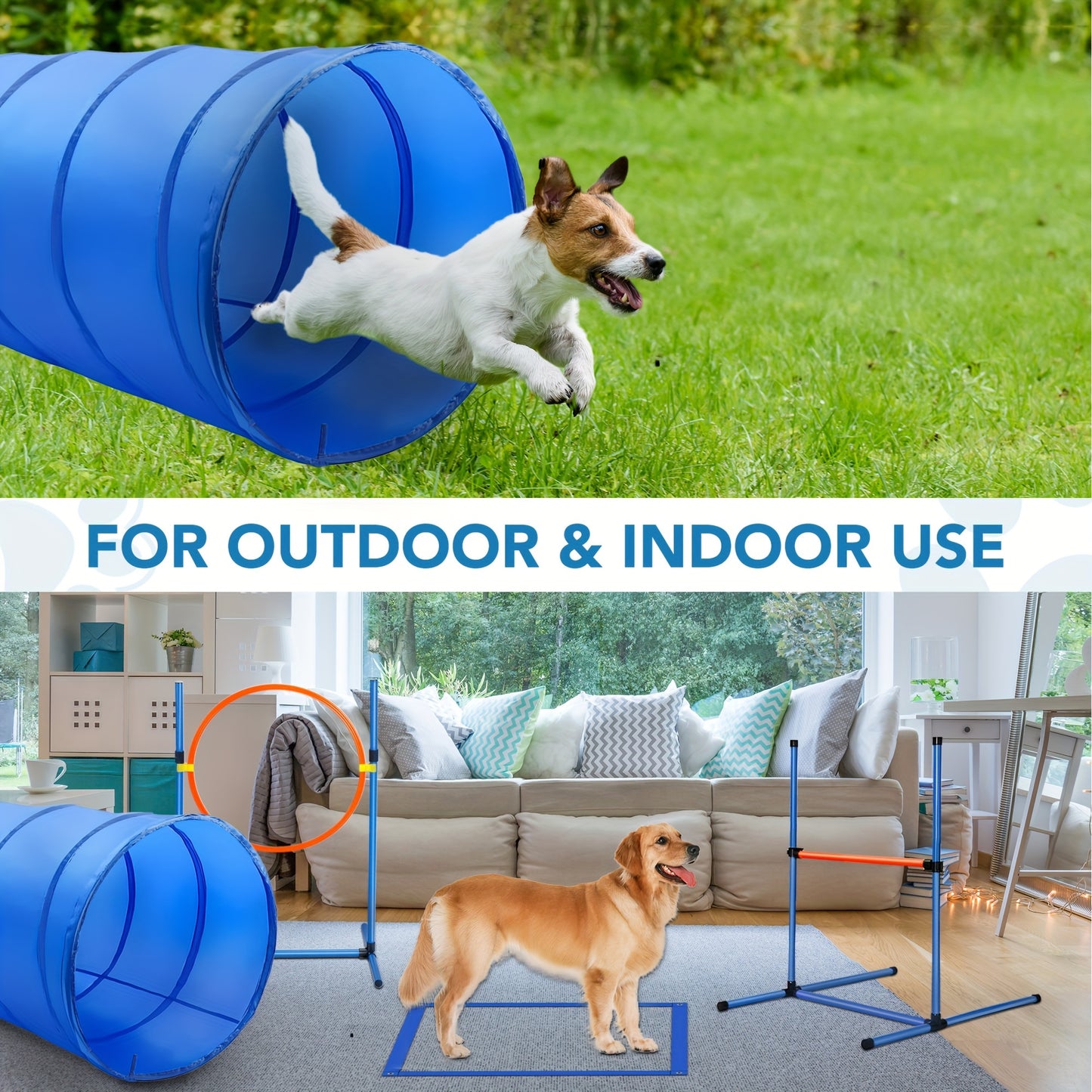 Dog Training Equipment Set