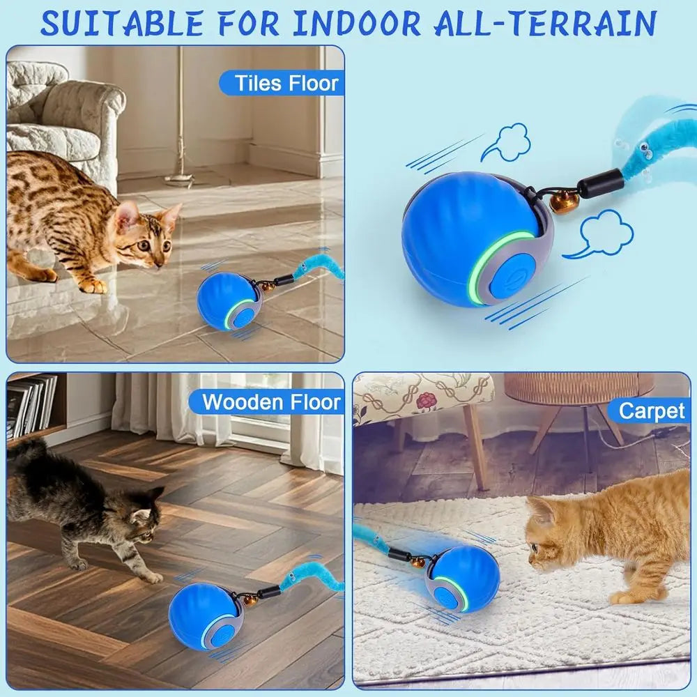 Interactive Cat Toy Ball For Indoor Play With Chittering Sound