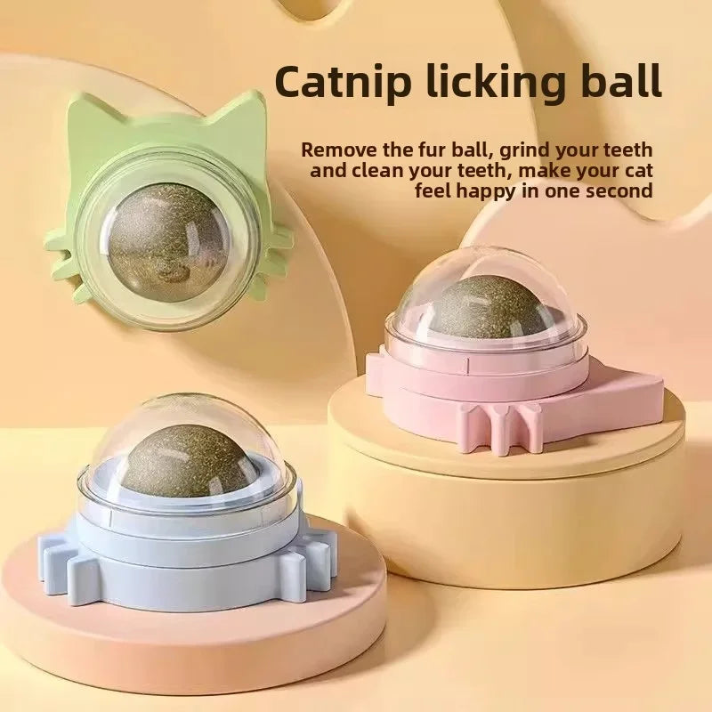 Catnip Ball Cat Toys For Cats Natural Interactive Fun