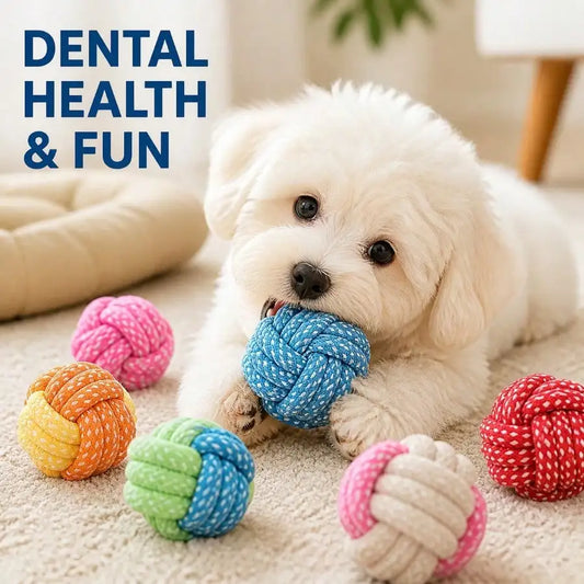 Interactive Dog Chew Ball Set 3 Pack For Engaging Pets