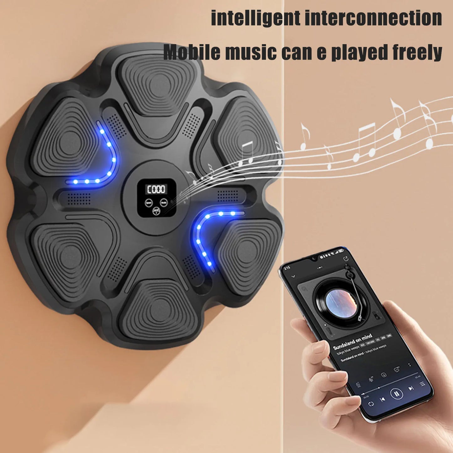 Portable Wall Mounted Boxing Pad Interactive Musical Training Device