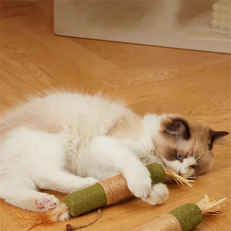 Interactive Plush Cat Ball Squeak Toy With Catnip Training