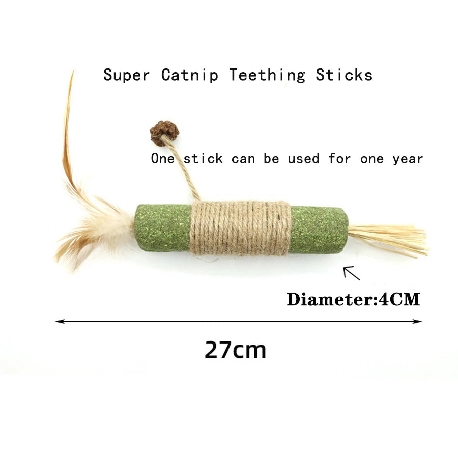 Interactive Plush Cat Ball Squeak Toy With Catnip Training