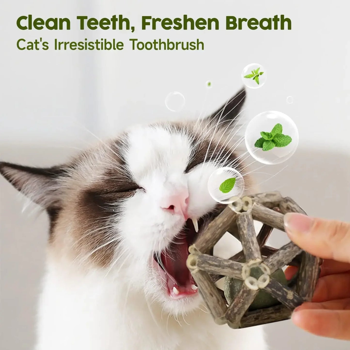 Organic Silvervine Cat Bell Ball For Indoor Cats Toys