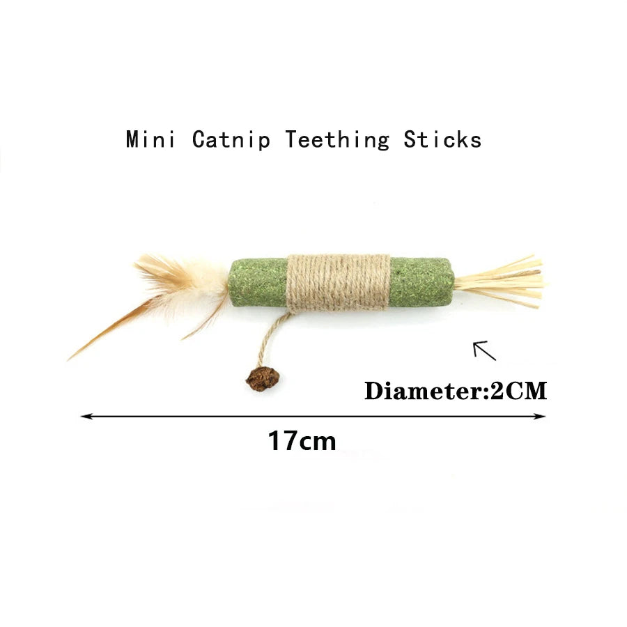 Interactive Plush Cat Ball Squeak Toy With Catnip Training