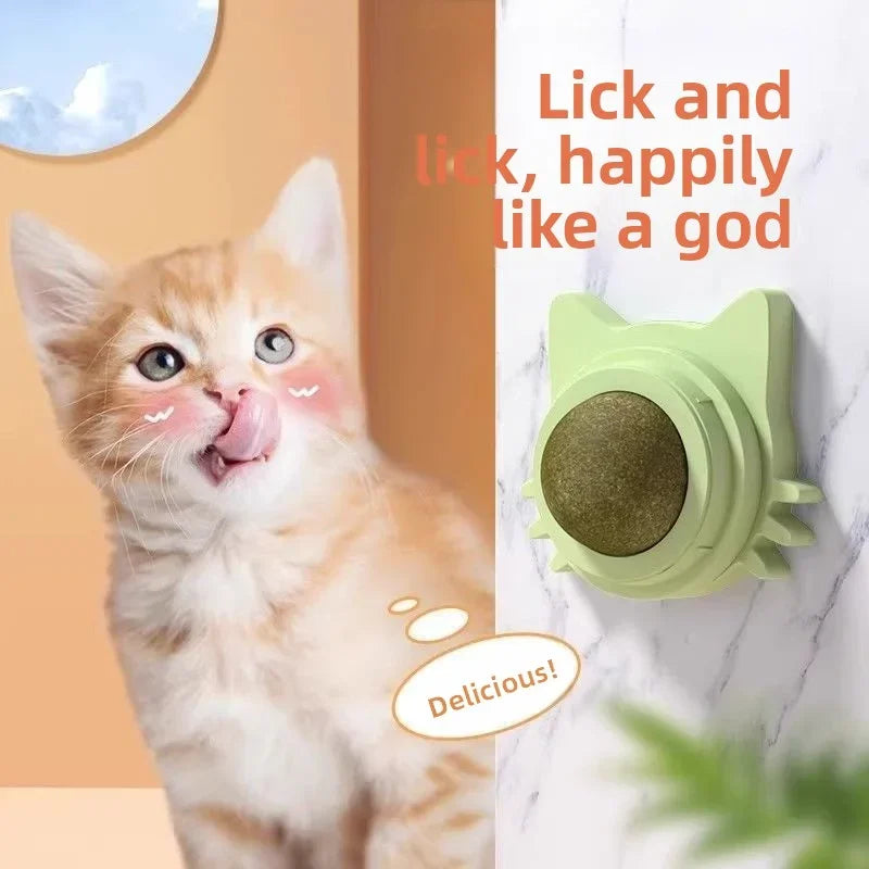 Catnip Ball Cat Toys For Cats Natural Interactive Fun