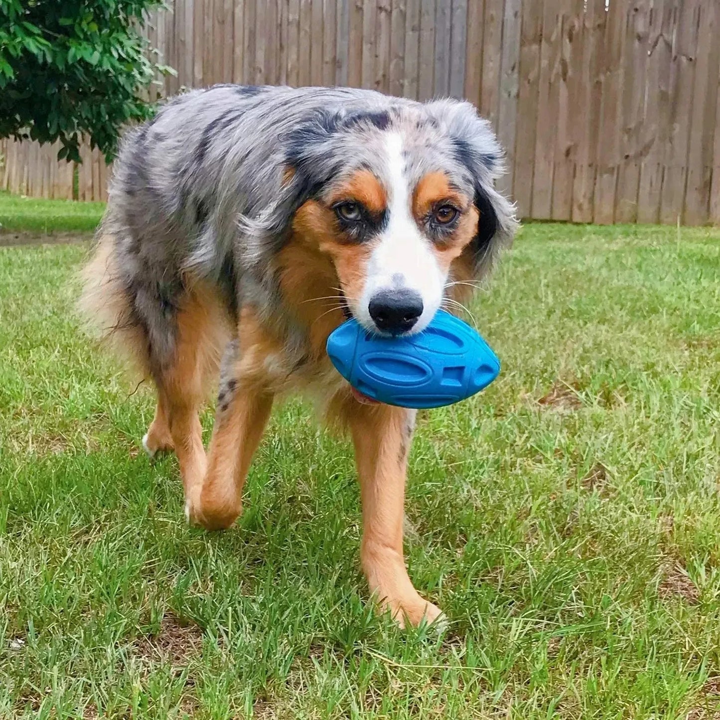 Aggressive Dog Chewers Rubber Squeaky Ball Toy