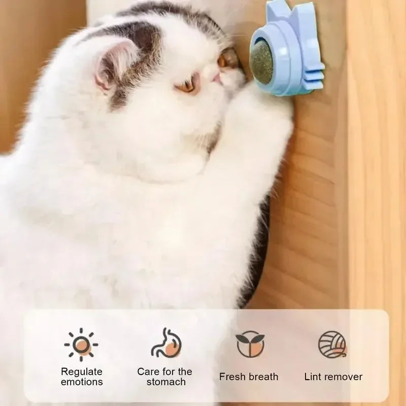 Catnip Ball Cat Toys For Cats Natural Interactive Fun