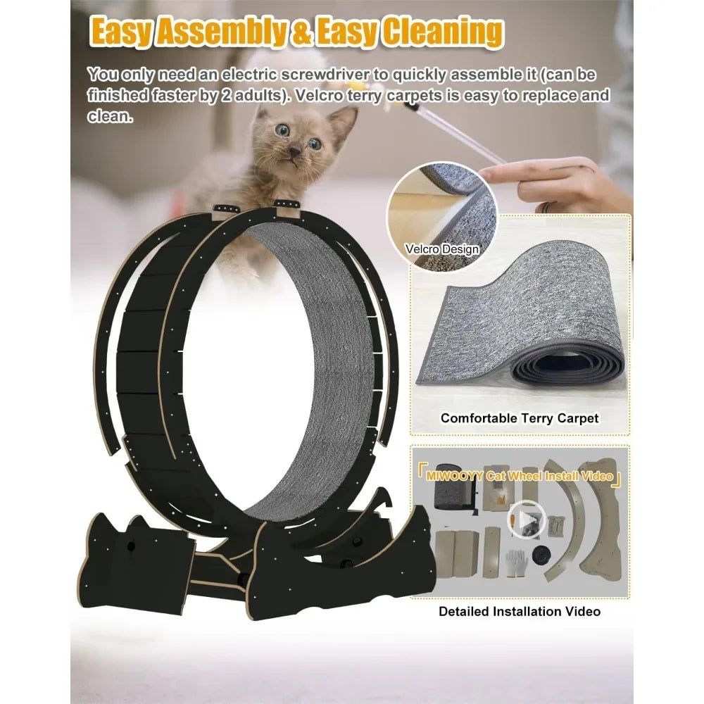 Cat Treadmill With Lock & Minimized Gap design