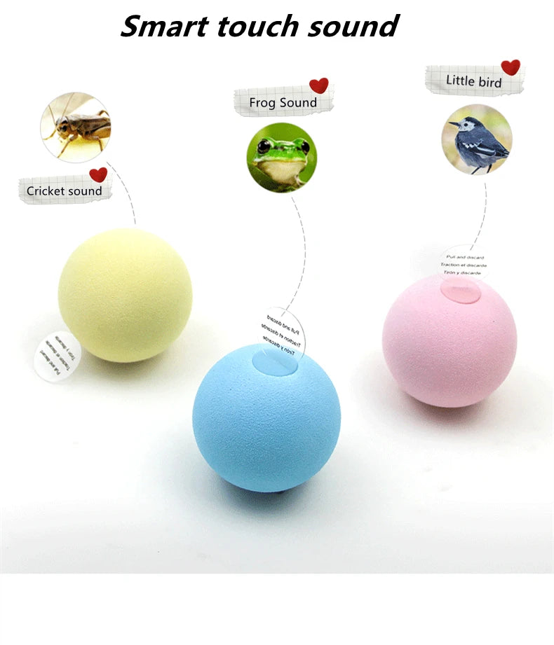 Interactive Plush Cat Ball Squeak Toy With Catnip Training