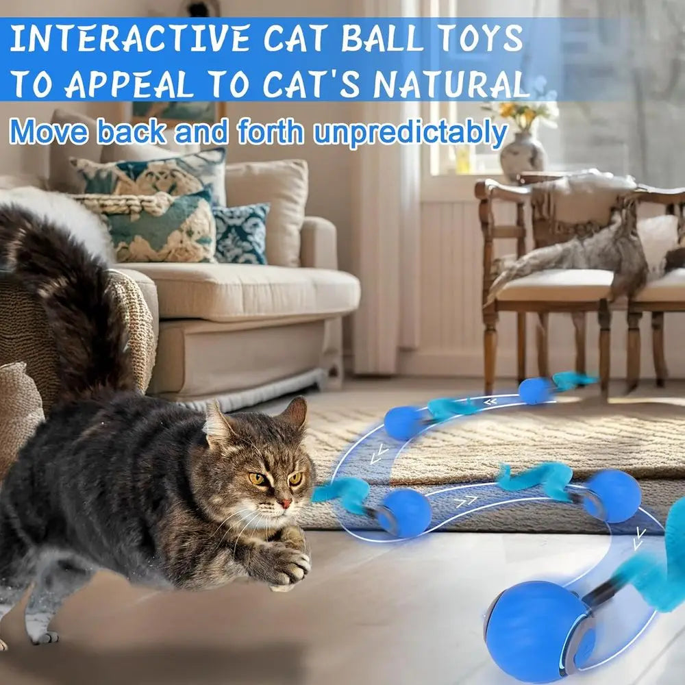 Interactive Cat Toy Ball For Indoor Play With Chittering Sound