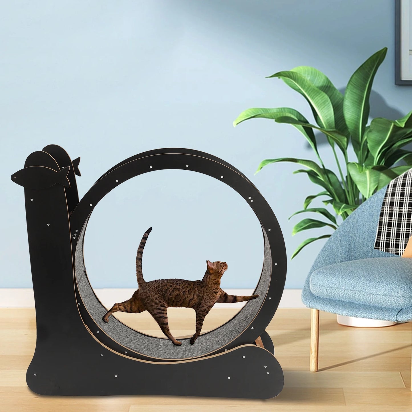 Cat Exercise Wheel With Carpeted Runway And High Fiber Board