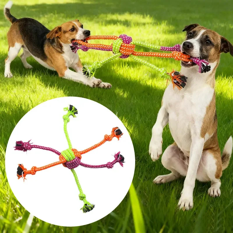 Durable Dog Rope Toy For Chewing And Tug War Elite